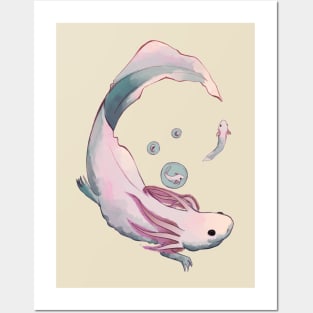 Axolotl evolution Posters and Art